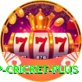 2022 world cup cricket King APK v3.3.2