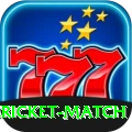 all cricket match VIP