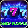 andy flower Plus Edition v4.8.0