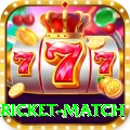 bangladesh cricket match Plus Pro v2.4.6
