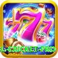 bbl cricket Official v5.0.1