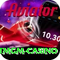 betmgm casino Pro Edition v5.5.2