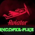 bingopkr Master Pro v4.3.3
