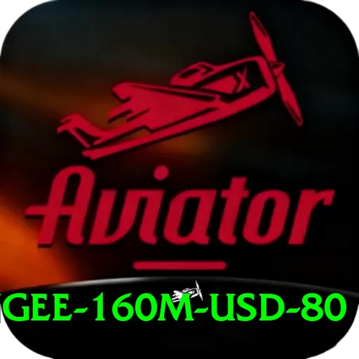 bungee 160m usd 80 Pro Edition v1.2.9 - 2