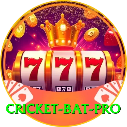 cricket bat Super Jackpot - 2