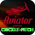 cricket pitch Premium Plus v4.0.6