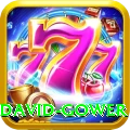 david gower Deluxe Pro v1.7.0