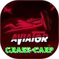 grass carp Games (Casino & Earning) Max v2.0.6