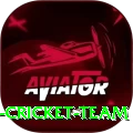 hong kong cricket team Pro Max v3.9.4