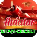 india pakistan cricket Max v1.5.5