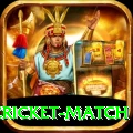 india pakistan cricket match Max v4.6.3