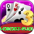 india pakistan cricket - Pro Edition v4.8.8