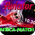 india south africa match Gold Edition v1.8.0