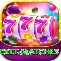 india upcoming cricket matches Master v4.3.0