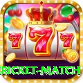 international cricket match Premium v4.8.4