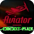 international cricket Slot Machine Max