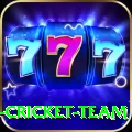 ireland cricket team Max v2.2.9