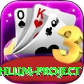 neelum jehlum project Pro v1.8.6