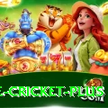 one cricket - Casino VIP