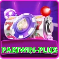 pakiwin VIP v4.1.8