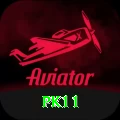 pk11 Plus Edition v4.2.0
