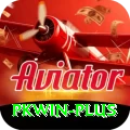 pkwin VIP Pro vv1.3.2