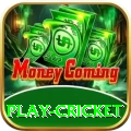 play cricket Apps (Tools & Injectors) Master v3.4.5