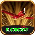 r cricket Pro Edition v2.3.4