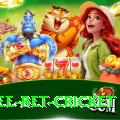 risk free bet cricket Games (Casino & Earning) Deluxe v4.4.8