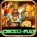 sa cricket Official v3.4.0