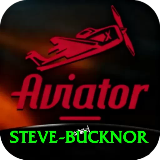steve bucknor Premium Edition v5.3.4 - 2