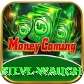 steve waugh Plus Pro v3.2.3