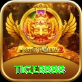 tiger888 Gold vv3.7.3