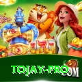 tojay Game Super v2.7.2
