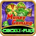 v cricket Casino Official v4.1.2