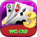 wc t20 Gold Edition v4.2.2
