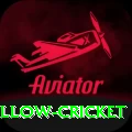 willow cricket VIP Pro v2.3.5