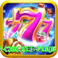 willow cricket Casino King v3.4.6